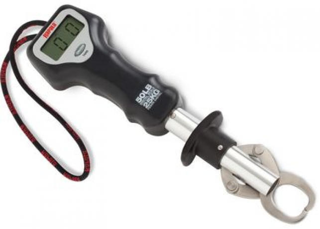 электрич.jpg