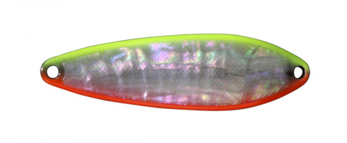 Baitis shell 10.jpg