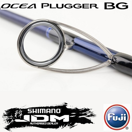 pluger-3.jpg